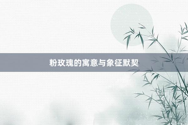 粉玫瑰的寓意与象征默契